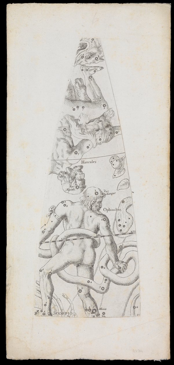  by Domenico de