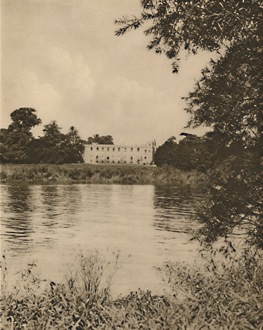 Fair Thames, Reedy Banks
