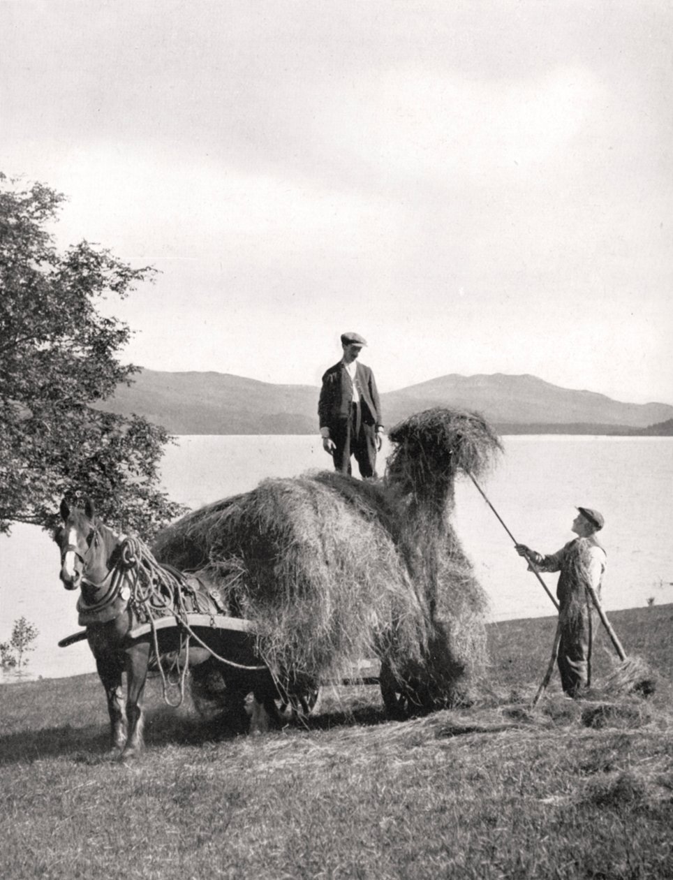 Loch Lomond, İskoçya, 1924-1926 kıyılarında bir vagona saman yükleme. by Donald McLeish