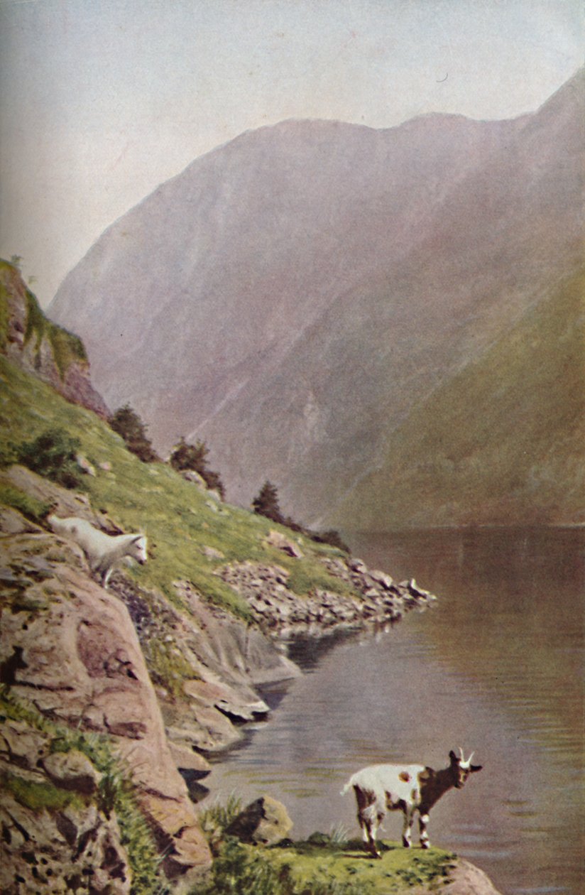 Norveç, c1930