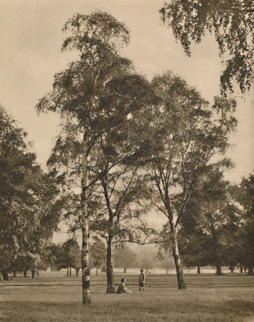 Yaprakların Dantel İşi: Hyde Park