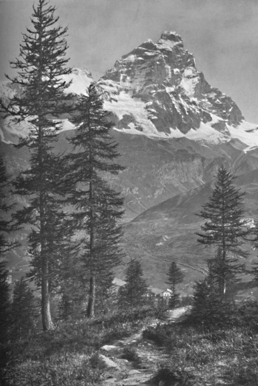 İtalyan Tarafından Matterhorn, Brueil Ormanı, 1917 by Donald McLeish