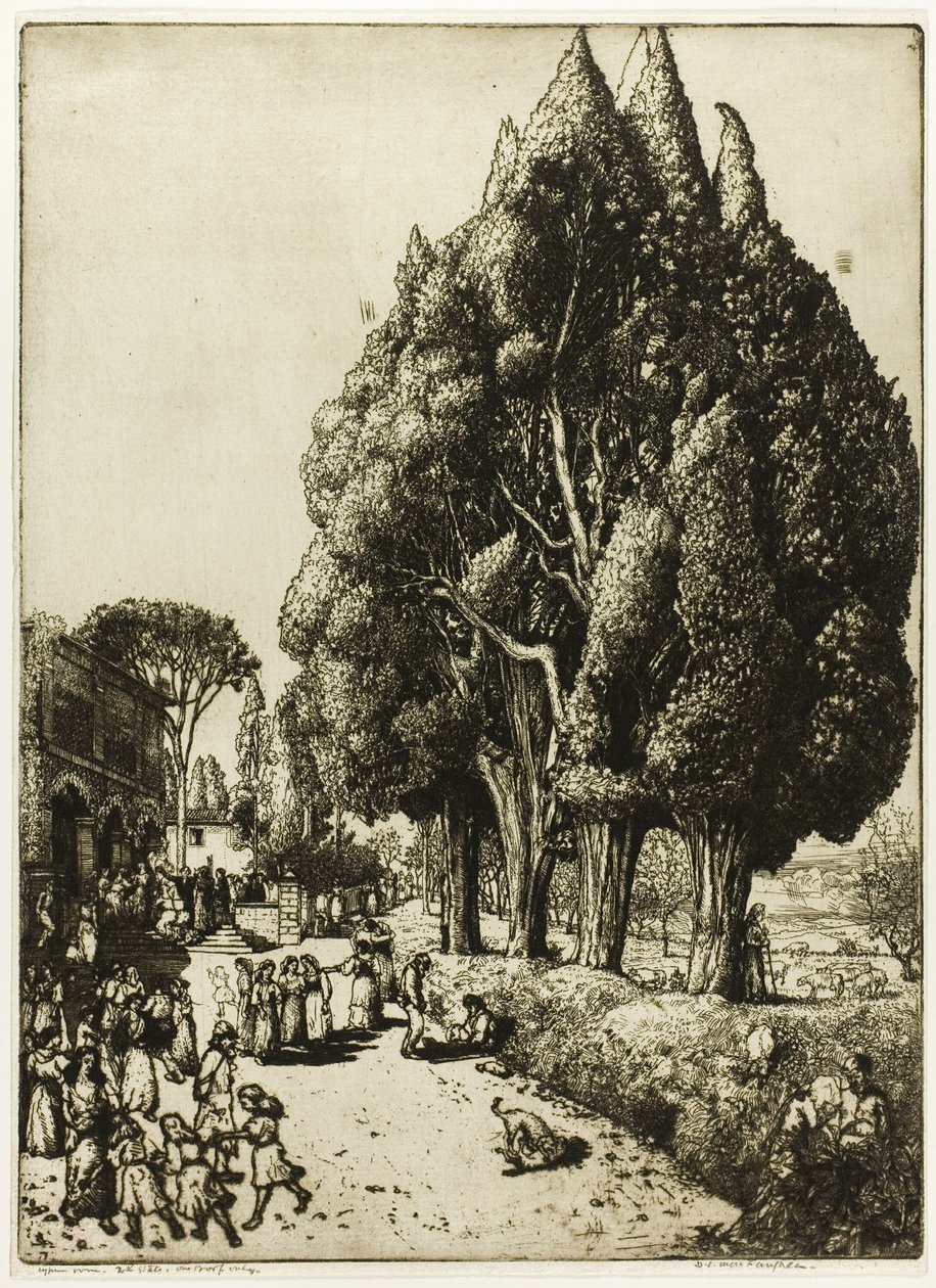 selvi korusu by Donald Shaw MacLaughlan