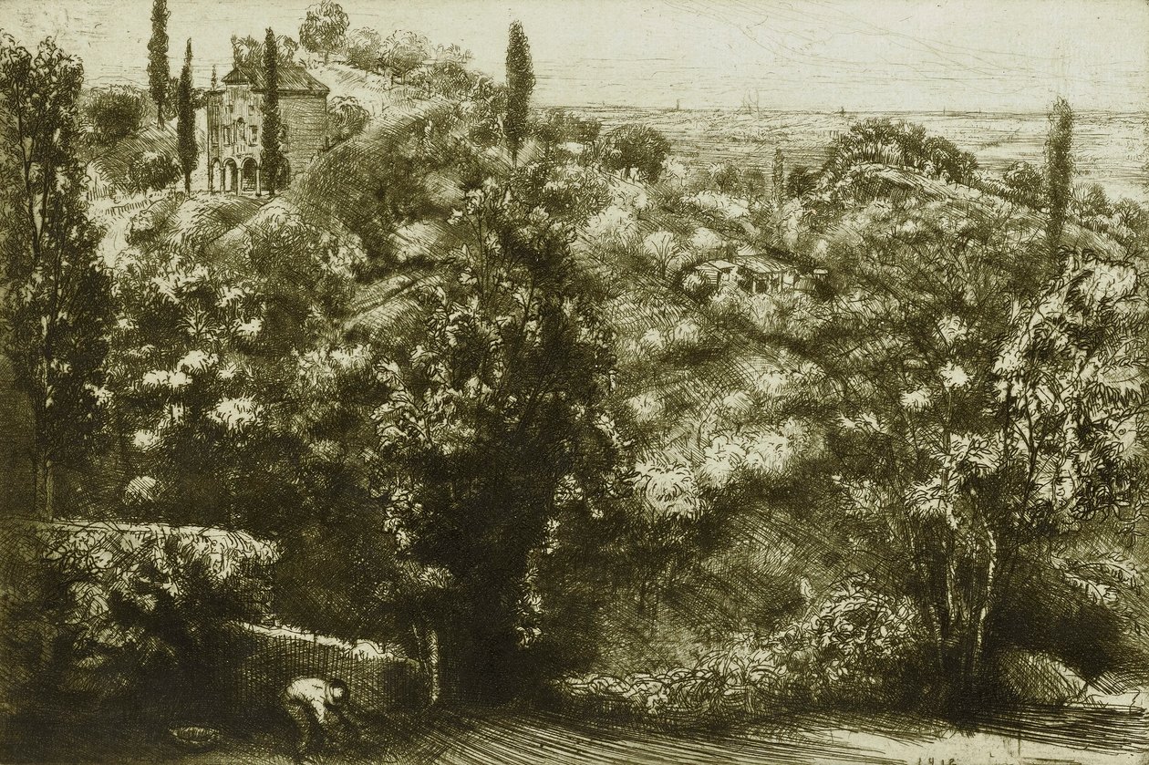  by Donald Shaw MacLaughlan