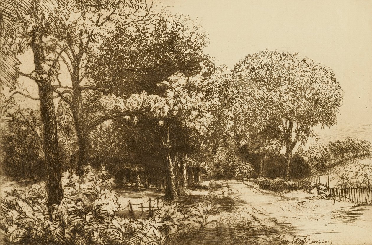 by Donald Shaw MacLaughlan