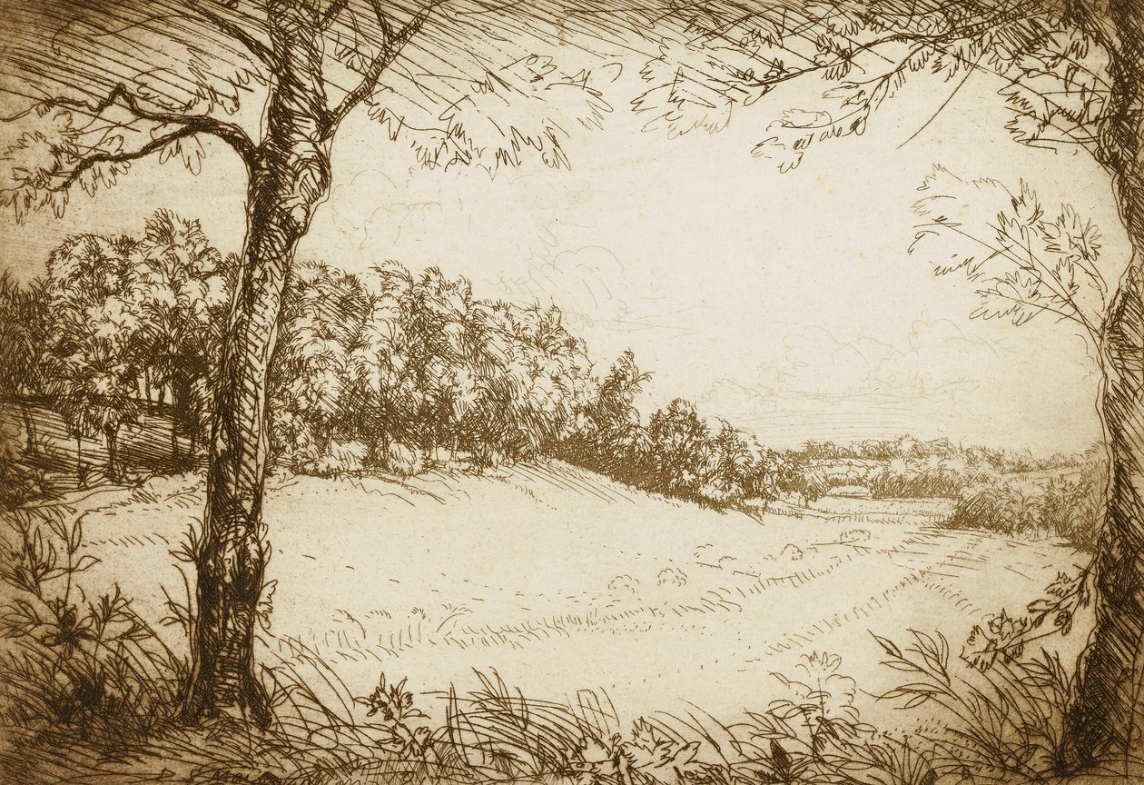 by Donald Shaw MacLaughlan