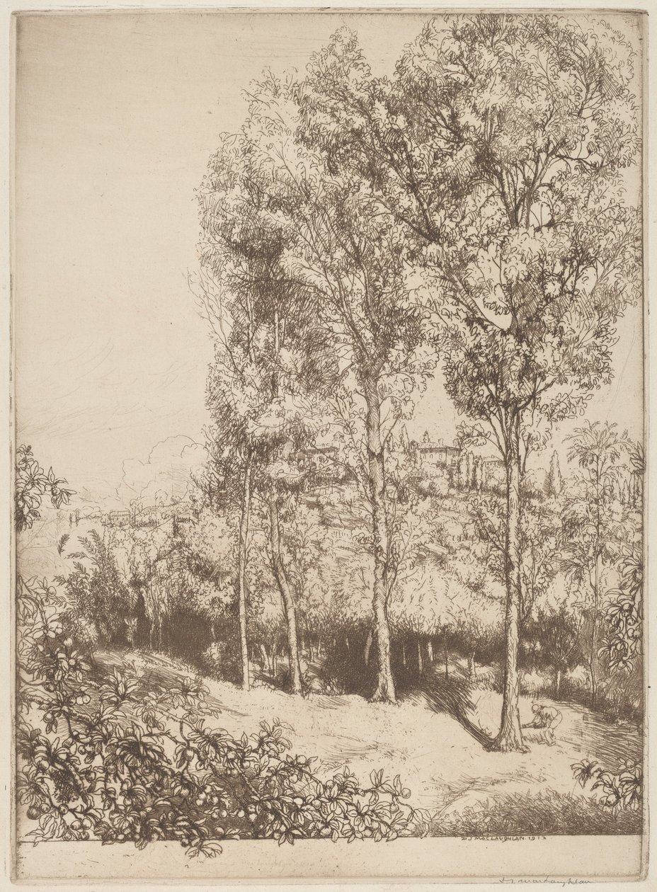 Güneş Işığı ve Gölgeler, No. 3 by Donald Shaw MacLaughlan