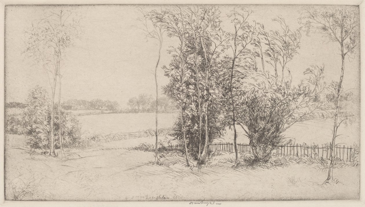 Sussex Manzarası by Donald Shaw MacLaughlan