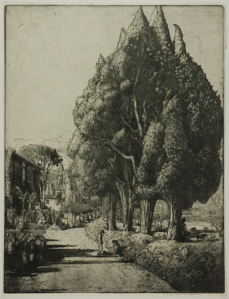 Selvi Korusu by Donald Shaw MacLaughlan