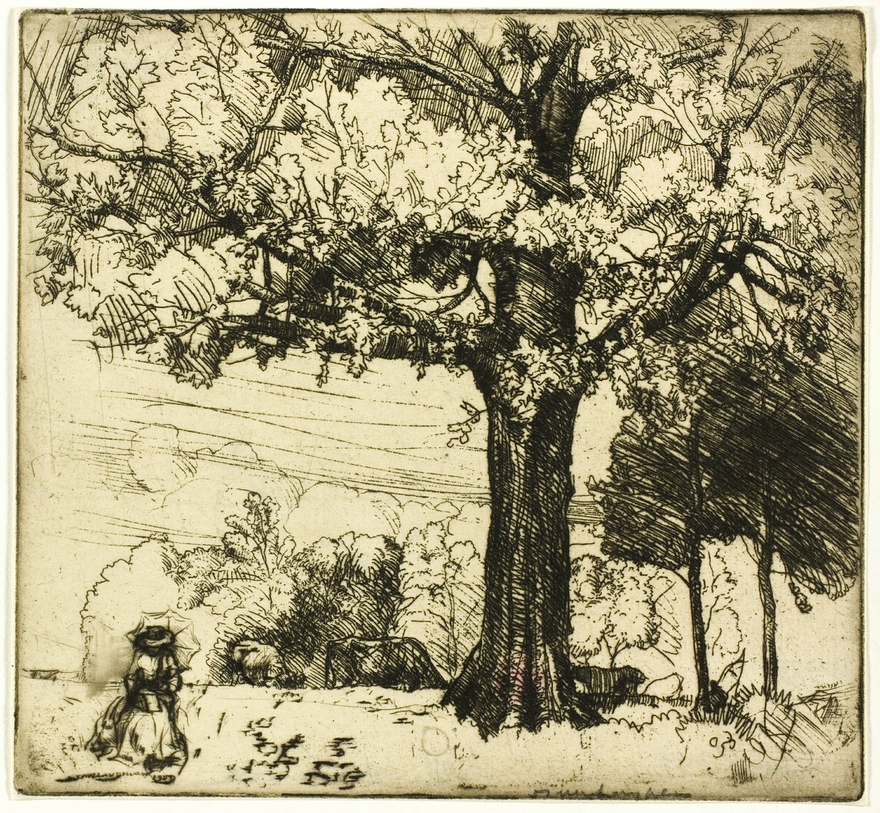 Büyük Meşe by Donald Shaw MacLaughlan