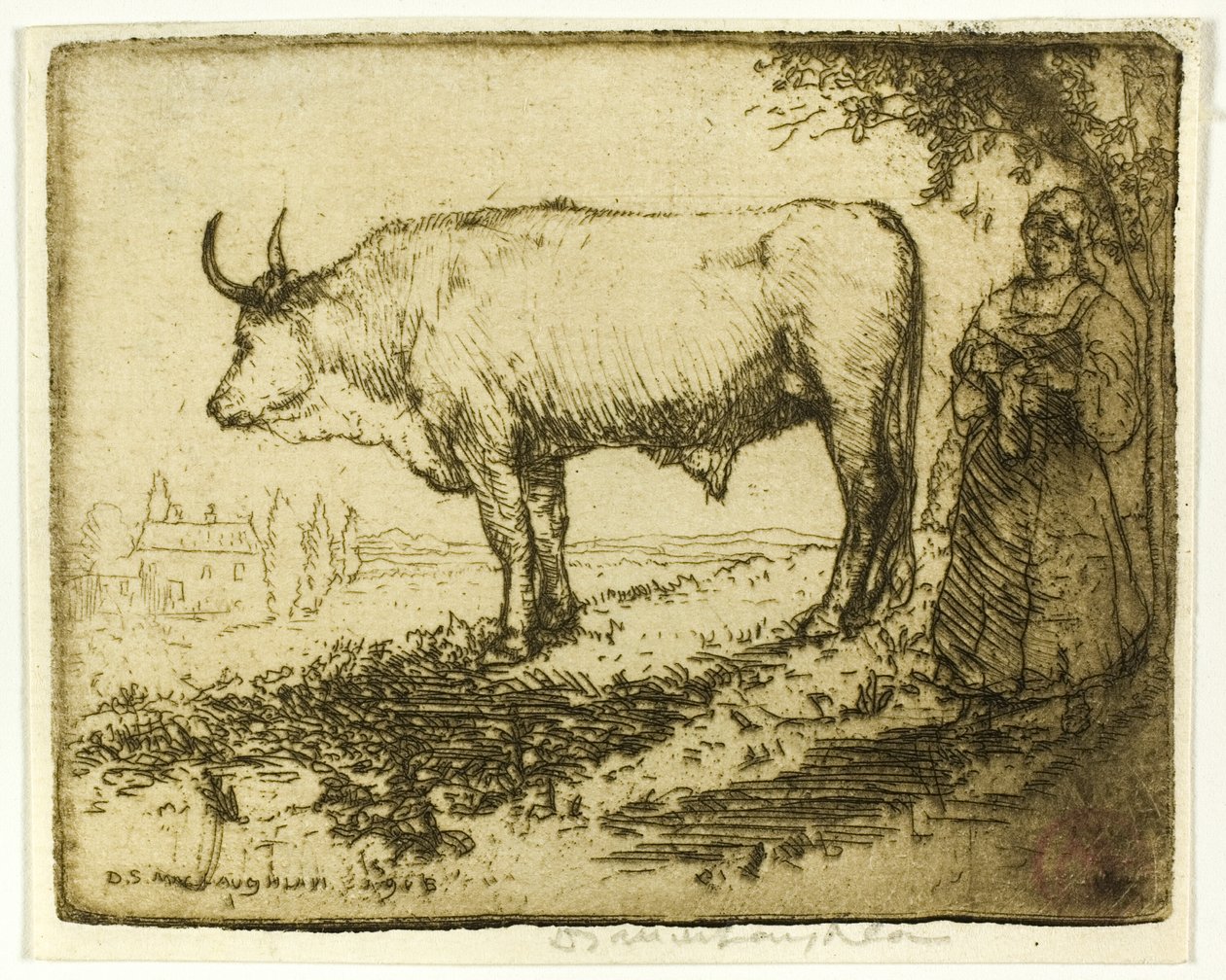 Beyaz Öküz by Donald Shaw MacLaughlan
