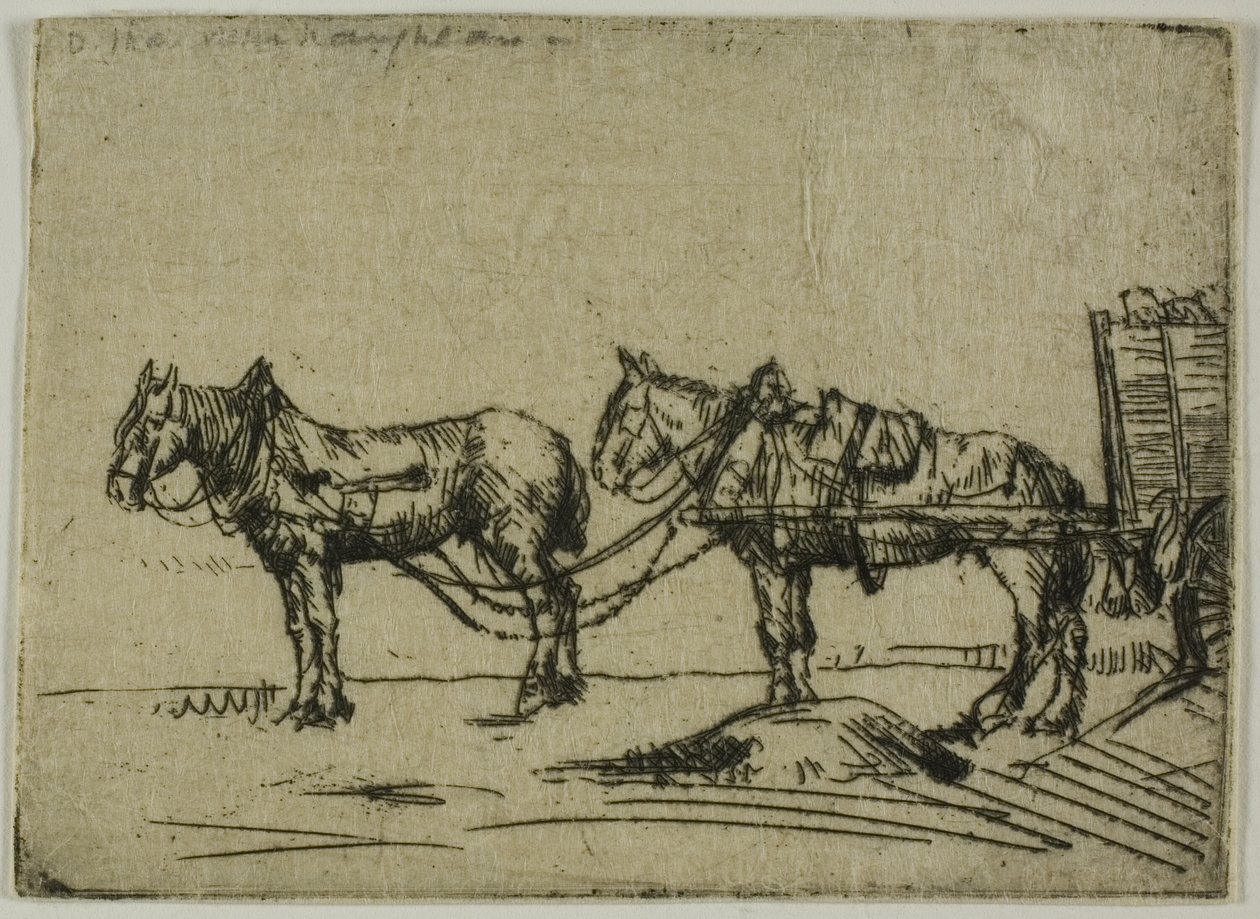 İki at by Donald Shaw MacLaughlan