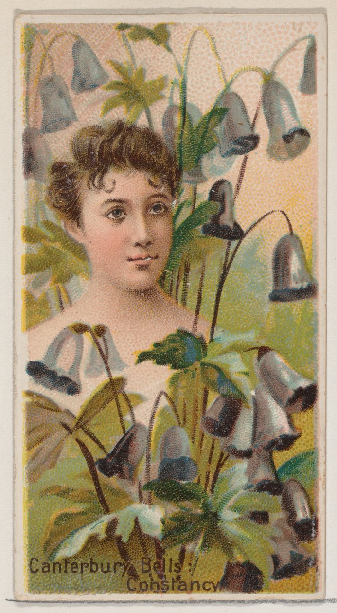 Canterbury Bells: Sabitlik, Çiçek Güzellikleri ve Çiçeklerin Dili N75..., 1892 serisinden. by Donaldson Brothers