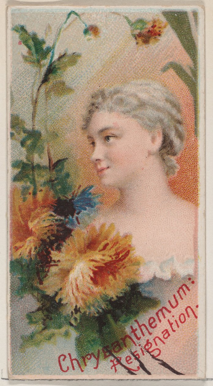 Kasımpatı: İstifa, Çiçek Güzelleri ve Çiçeklerin Dili N75 ..., 1892 serisinden. by Donaldson Brothers