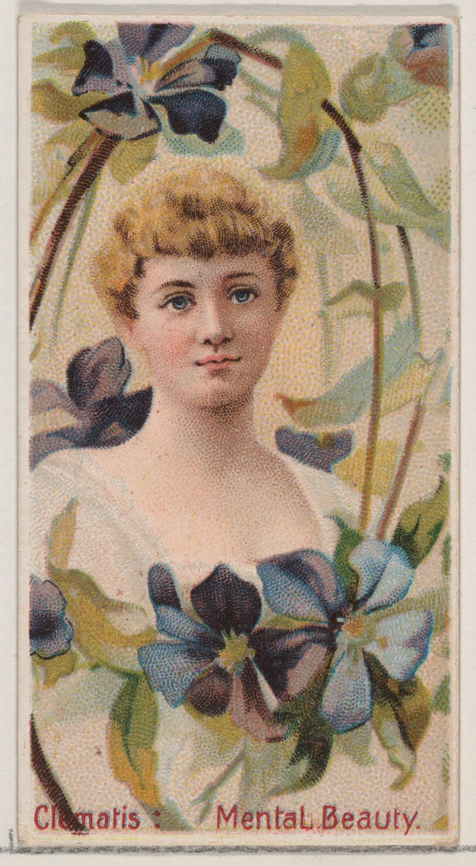 Clematis: Mental Beauty, Çiçek Güzelleri ve Çiçeklerin Dili N75 serisinden..., 1892. by Donaldson Brothers