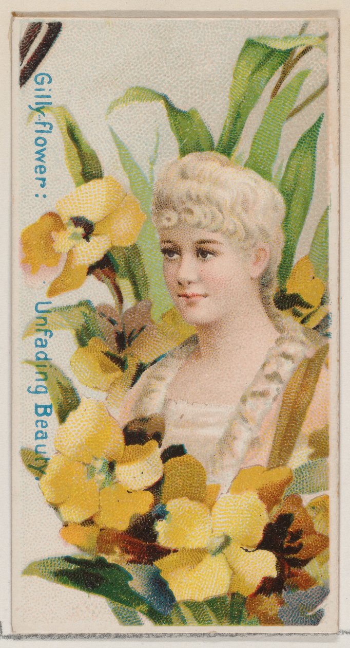 Gilly-flower: Solmayan Güzellik, Çiçek Güzelleri ve Çiçeklerin Dili N7..., 1892 serisinden. by Donaldson Brothers