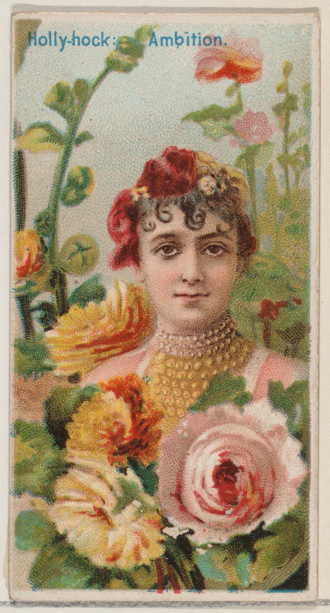 Gülhatmi: Hırs, Floral Beauty and Language of Flowers N75 serisinden Duk için..., 1892. by Donaldson Brothers