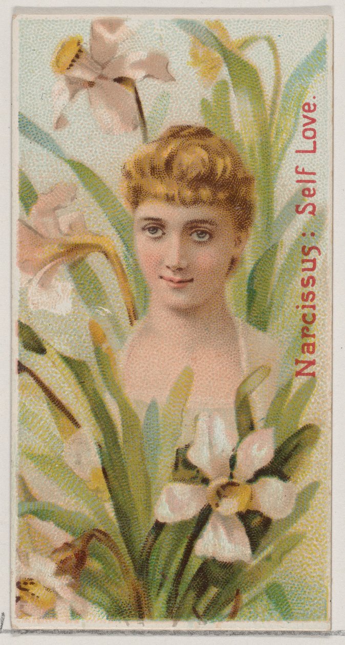 Narcissus: Self Love, Çiçek Güzellikleri ve Çiçeklerin Dili N75 serisinden Du..., 1892. by Donaldson Brothers