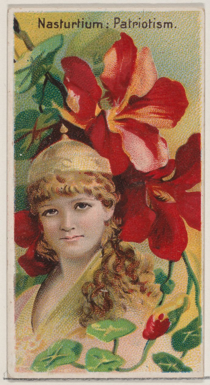 Nasturtium: Vatanseverlik, Çiçek Güzellikleri ve Çiçeklerin Dili N75 serisinden ..., 1892. by Donaldson Brothers