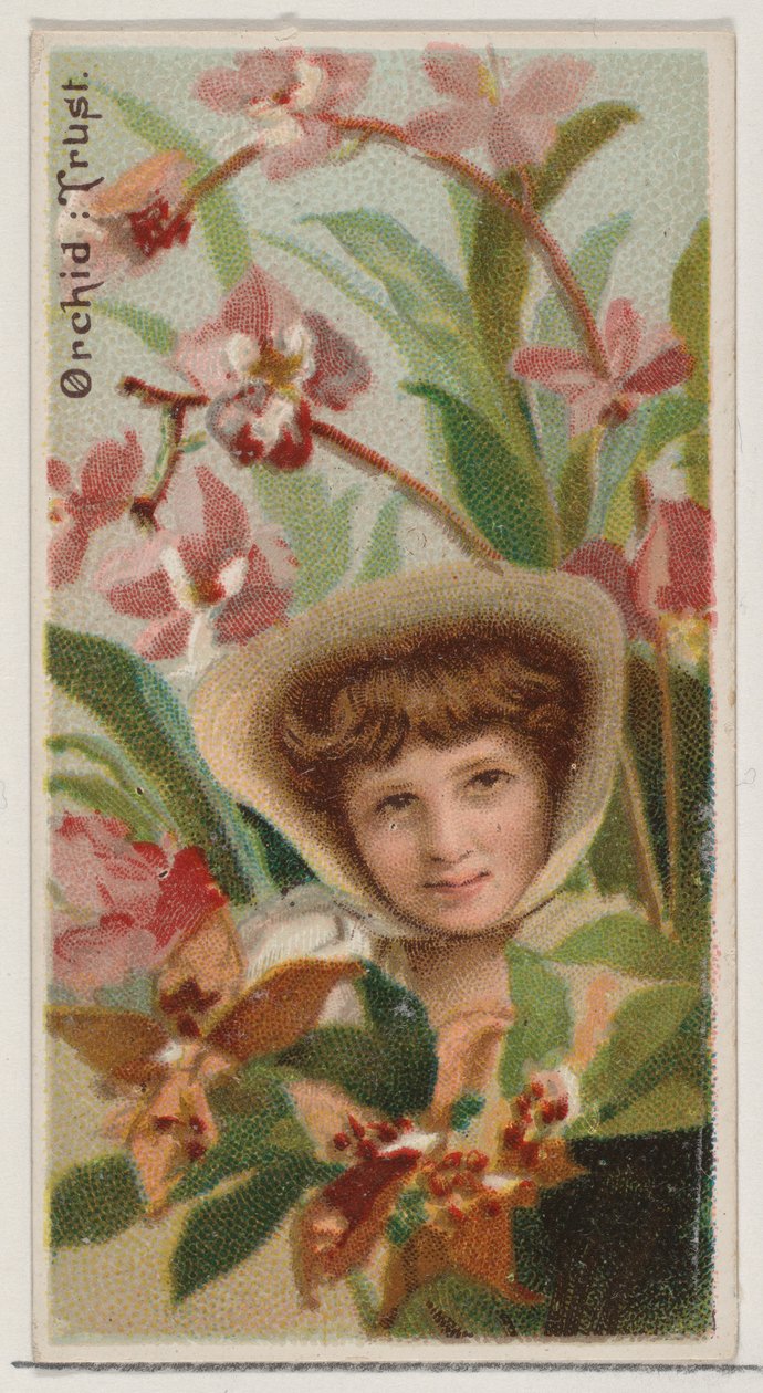 Orkide: Güven, Duke bran için Floral Beauty and Language of Flowers N75 serisinden..., 1892. by Donaldson Brothers