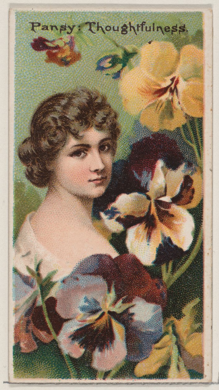 Pansy: Düşüncelilik, D..., 1892 için Çiçek Güzellikleri ve Çiçeklerin Dili N75 serisinden. by Donaldson Brothers
