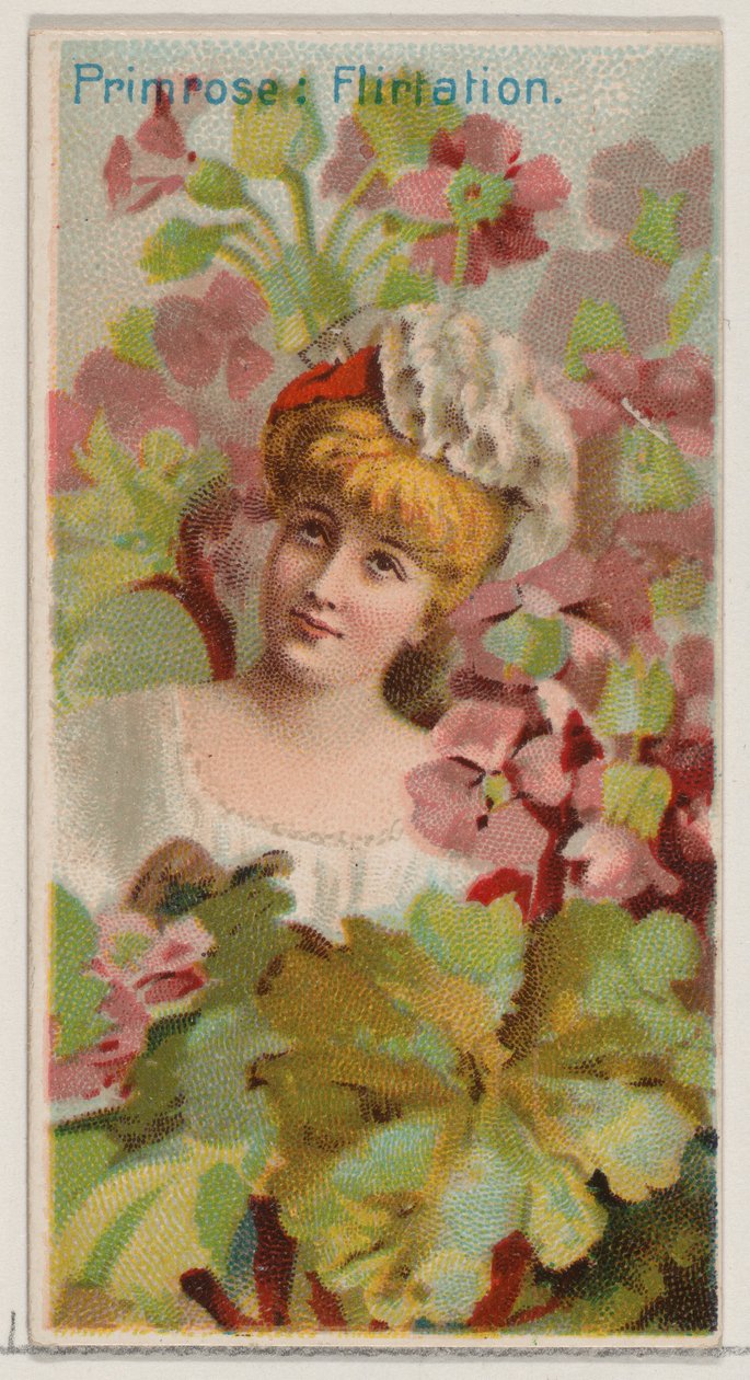 Primrose: Flirtation, Floral Beauty and Language of Flowers N75 serisinden Du..., 1892. by Donaldson Brothers