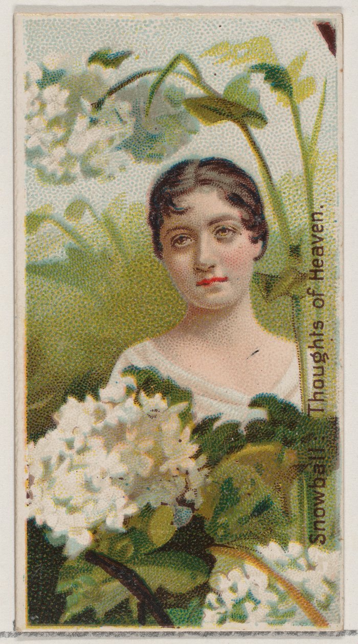 Kartopu: Cennetin Düşünceleri, Çiçek Güzelleri ve Çiçeklerin Dili N75..., 1892 serisinden. by Donaldson Brothers