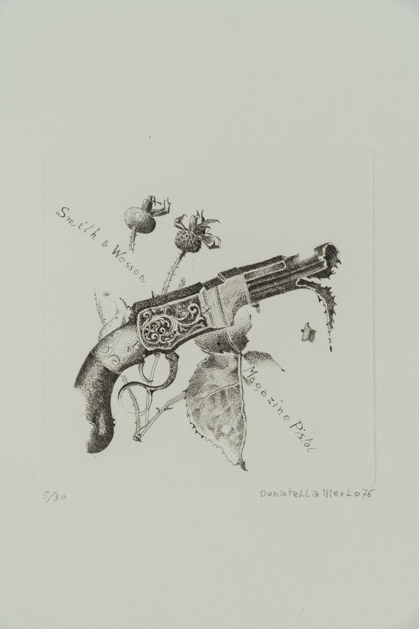 Smith ve Wesson Şarjörlü Tabanca by Donatella Merlo