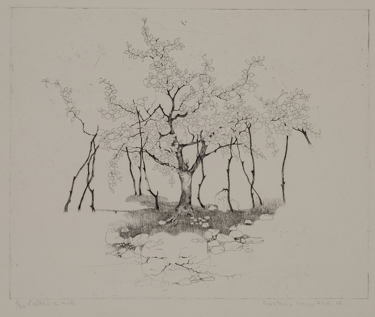 elma ağacı by Donatella Merlo