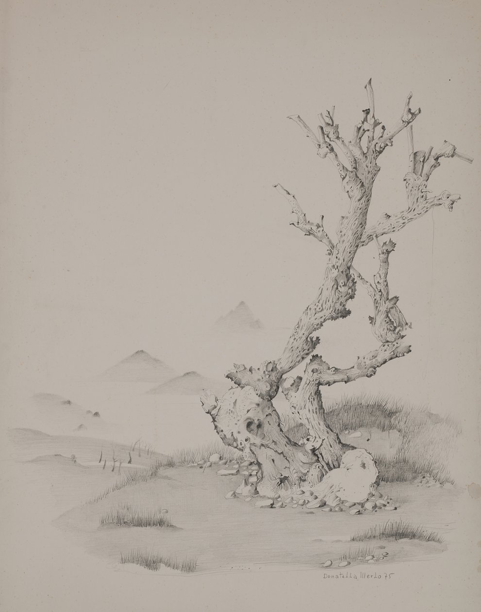 Araba bagaji by Donatella Merlo