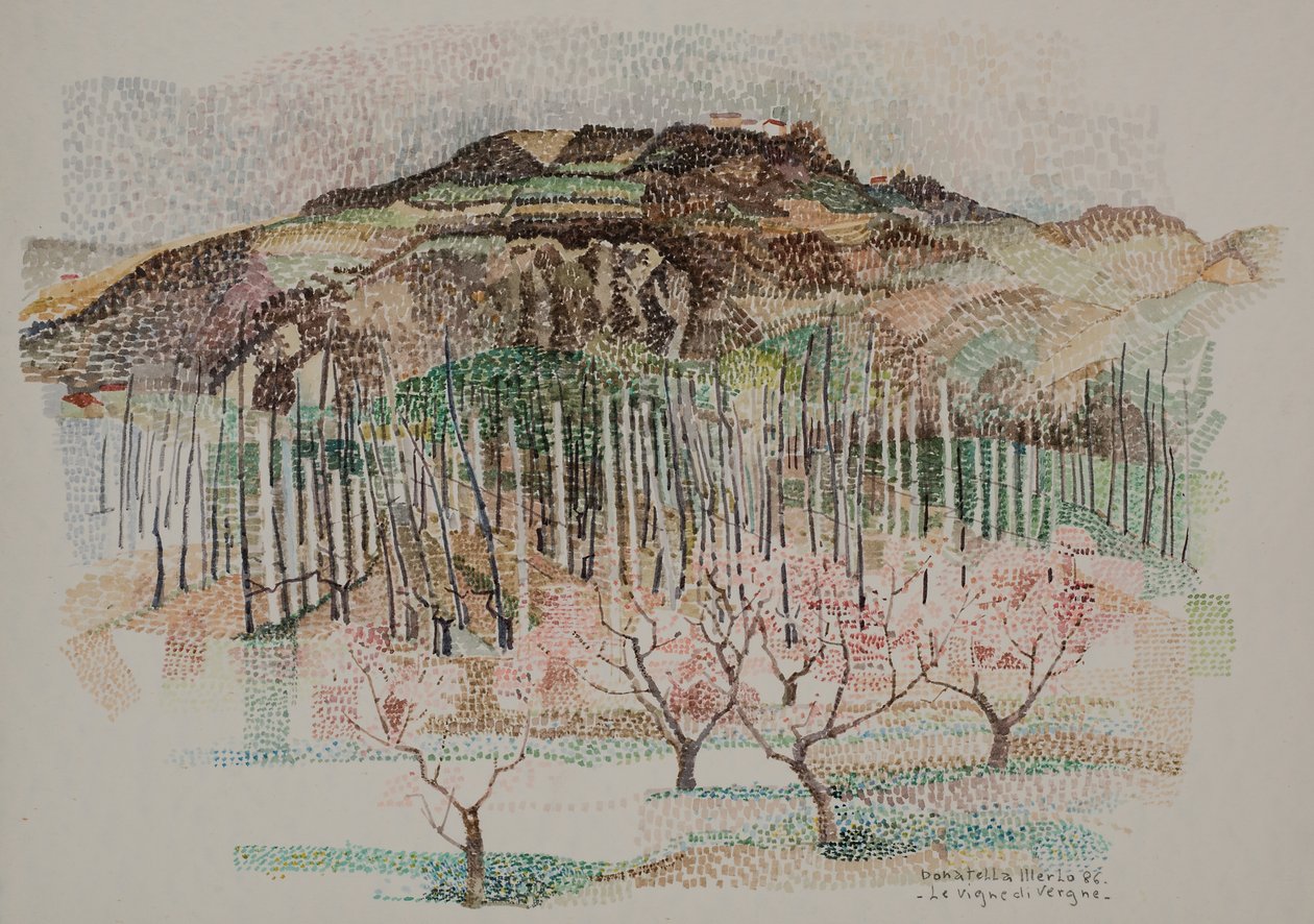 Vergne üzüm bağı by Donatella Merlo