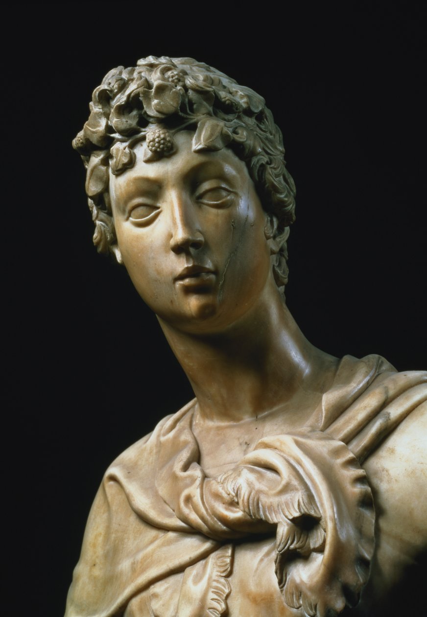 David, kafa detayı, 79334