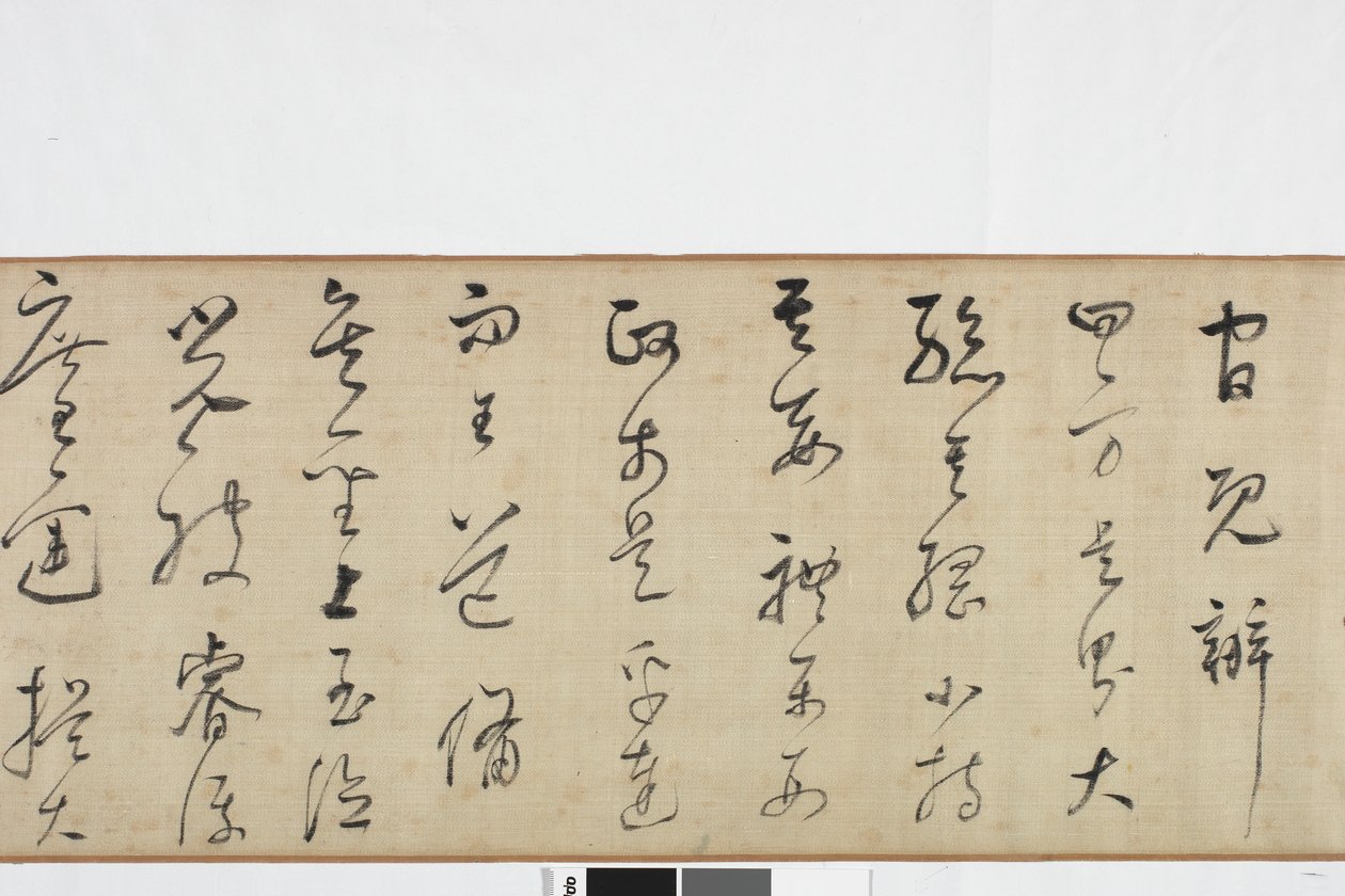 Taş Kaydın Yazılı Zhang Xus