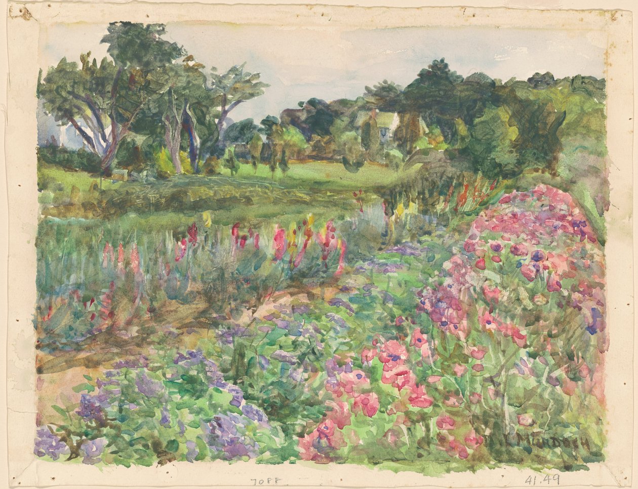 Parmelee Malikanesi Bloom