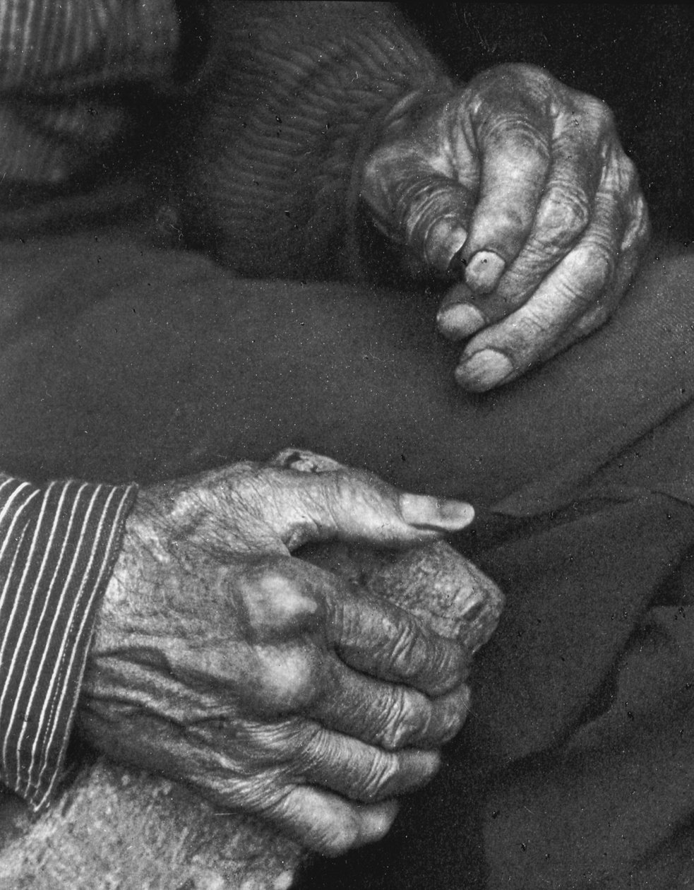 Bir işçinin elleri, 1925 by Doris Ulmann