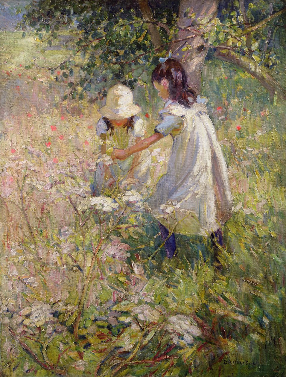  by Dorothea Sharp