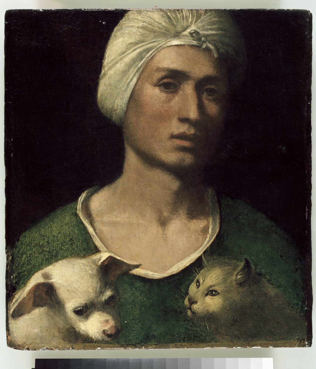 Köpekli ve Kedili Genç Bir Adamın Portresi by Dosso Dossi