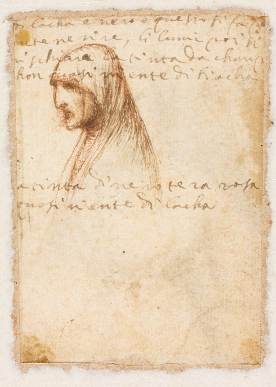 Yaşlı Bir Kadının Göğüs Boyu Profili verso, c. 1521. by Dosso Dossi