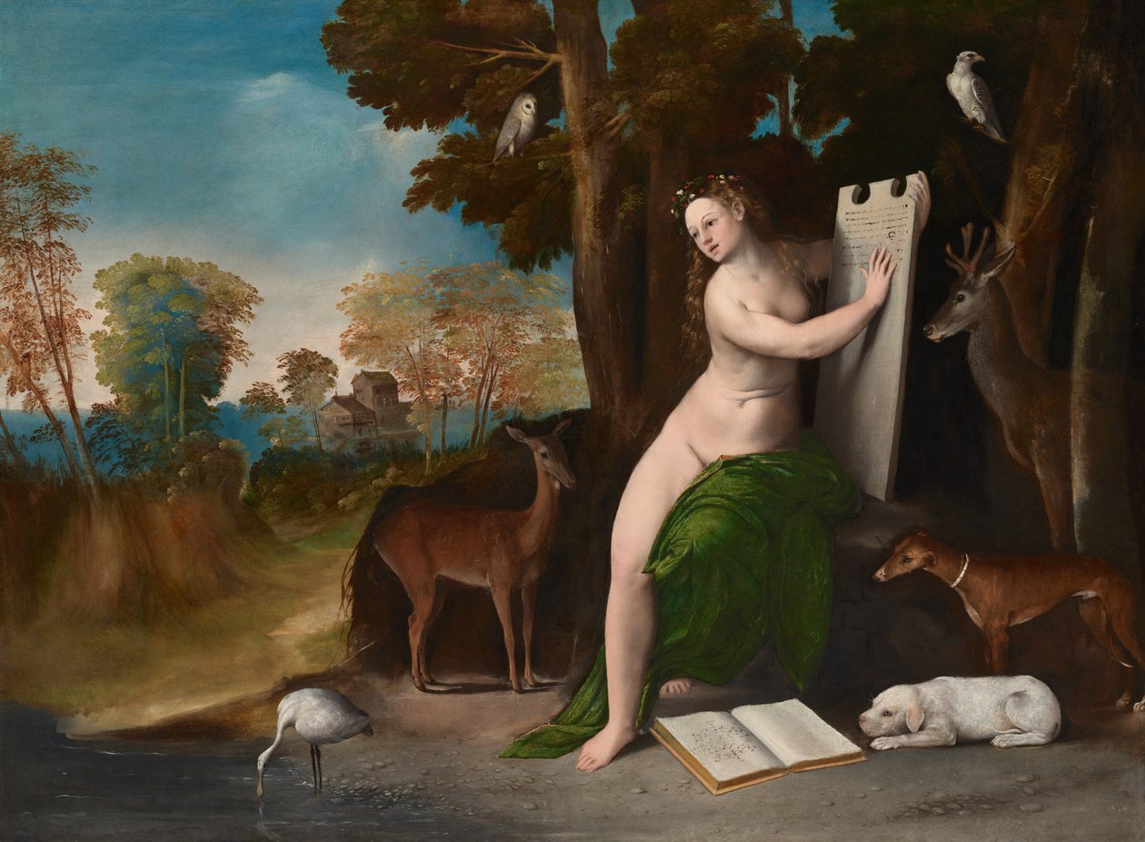  by Dosso Dossi