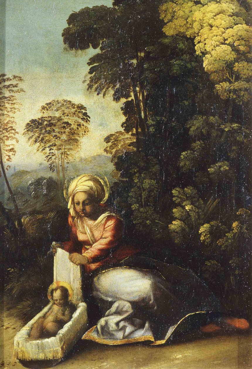 Çocuk La Zingarella ile Madonna, c. 1513 by Dosso Dossi