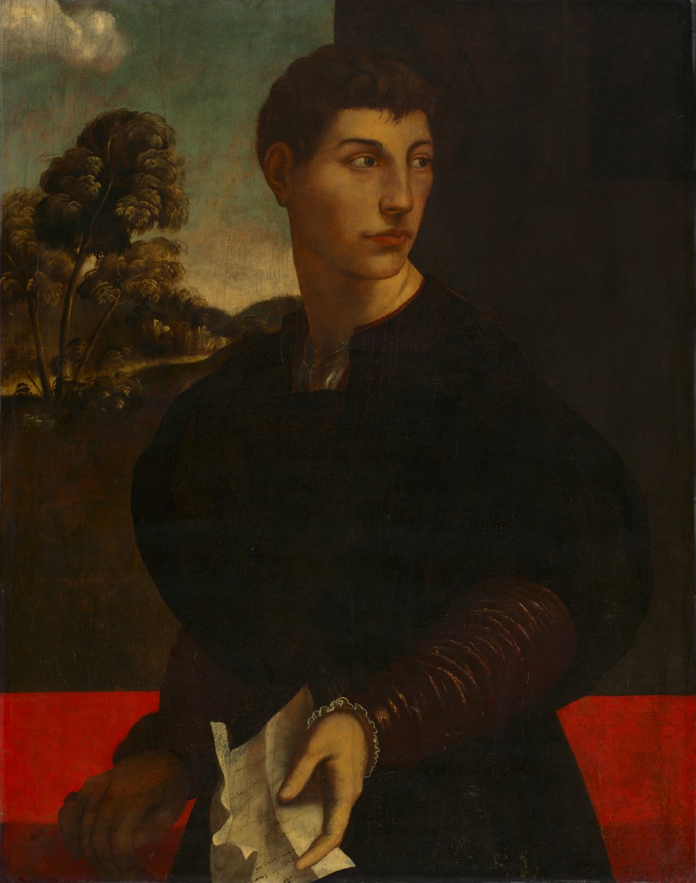 Bir Genç Adamın Portresi, c. 1530. by Dosso Dossi