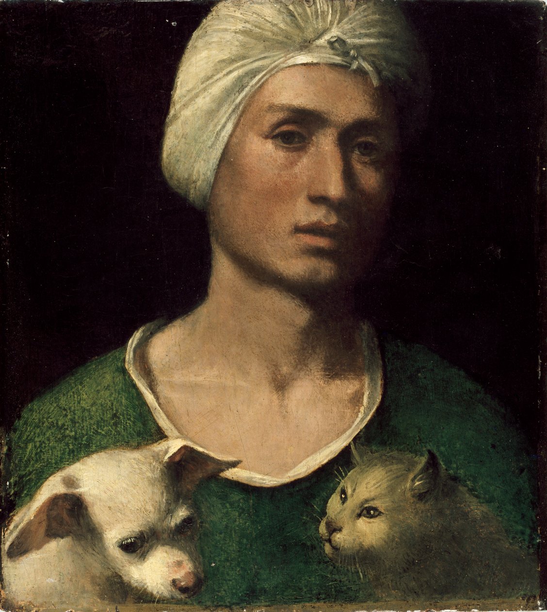Köpek ve Kedi tutan genç bir adamın portresi, c1530s by Dosso Dossi