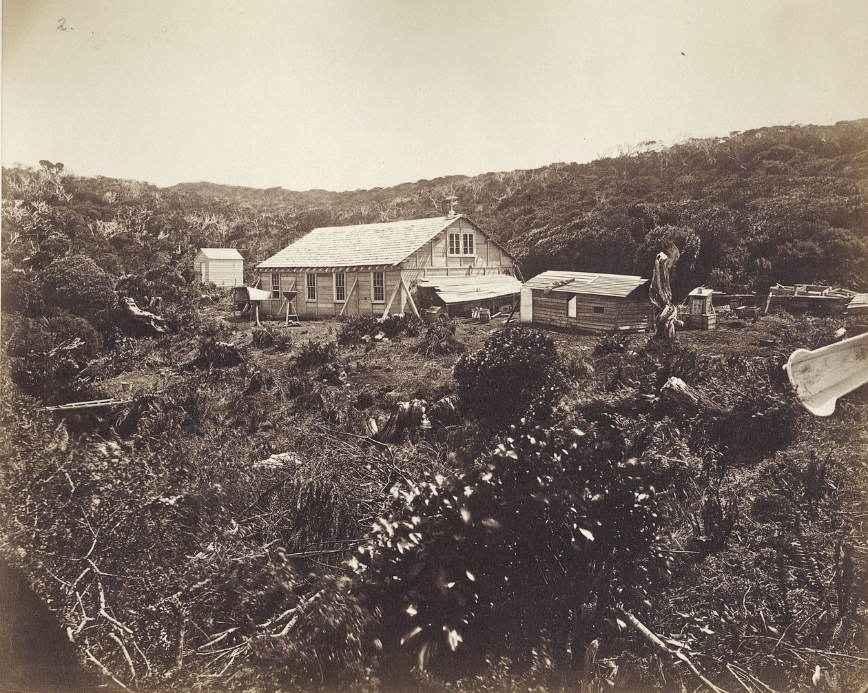 Venüs Seferi'nin Alman Geçişi, Auckland Adaları, 1874-75 (albüm baskısı) by Dr. Guido Wolfram