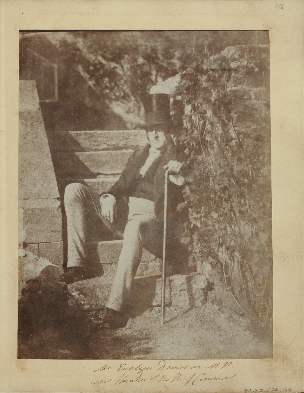 Bay Evelyn Denison by Dr. John Adamson