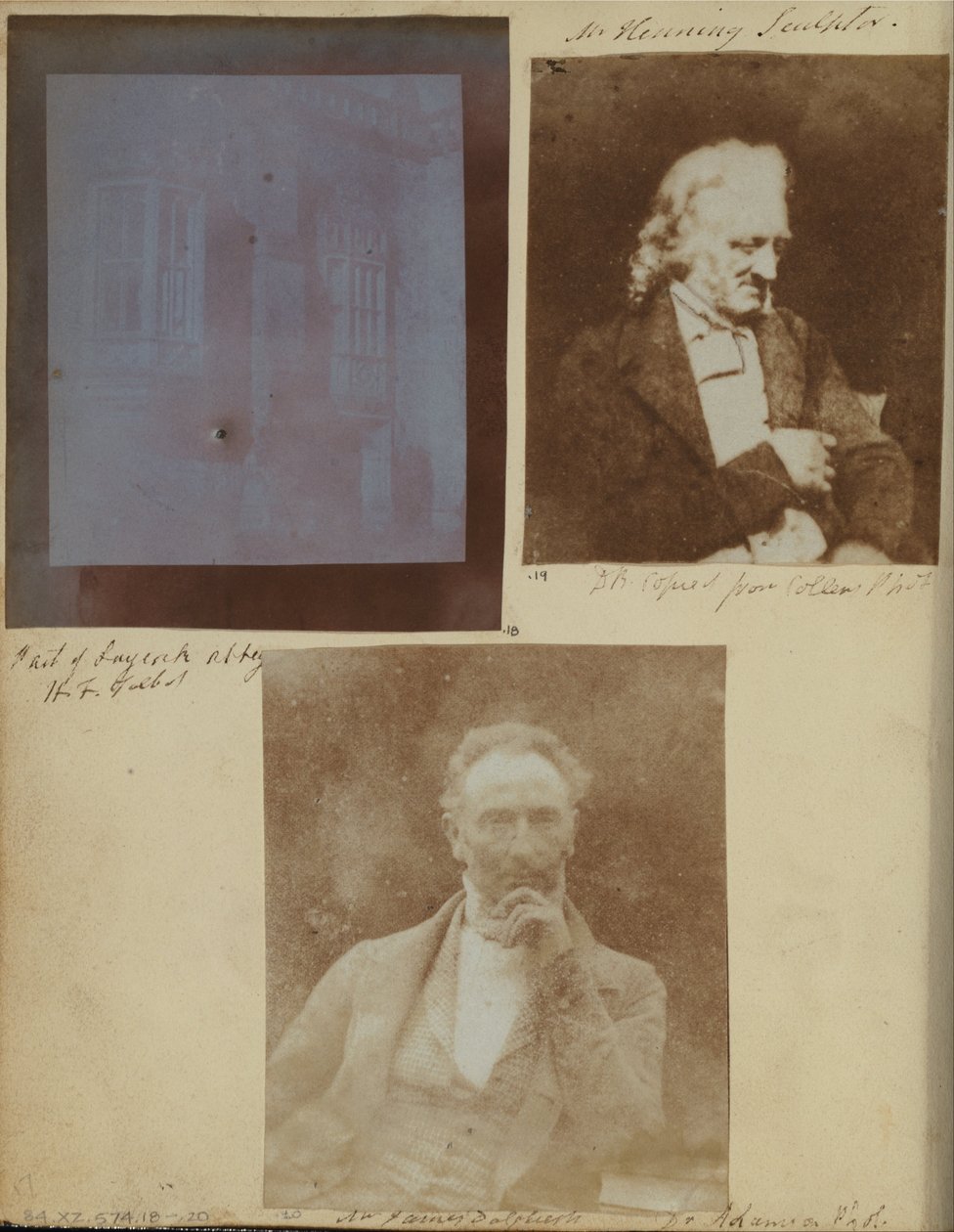 Bay James Dalgliesh by Dr. John Adamson