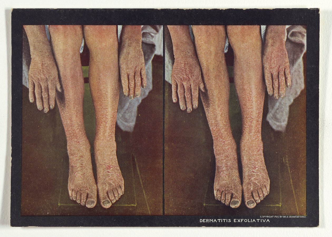  by Dr. Selden I. Rainforth