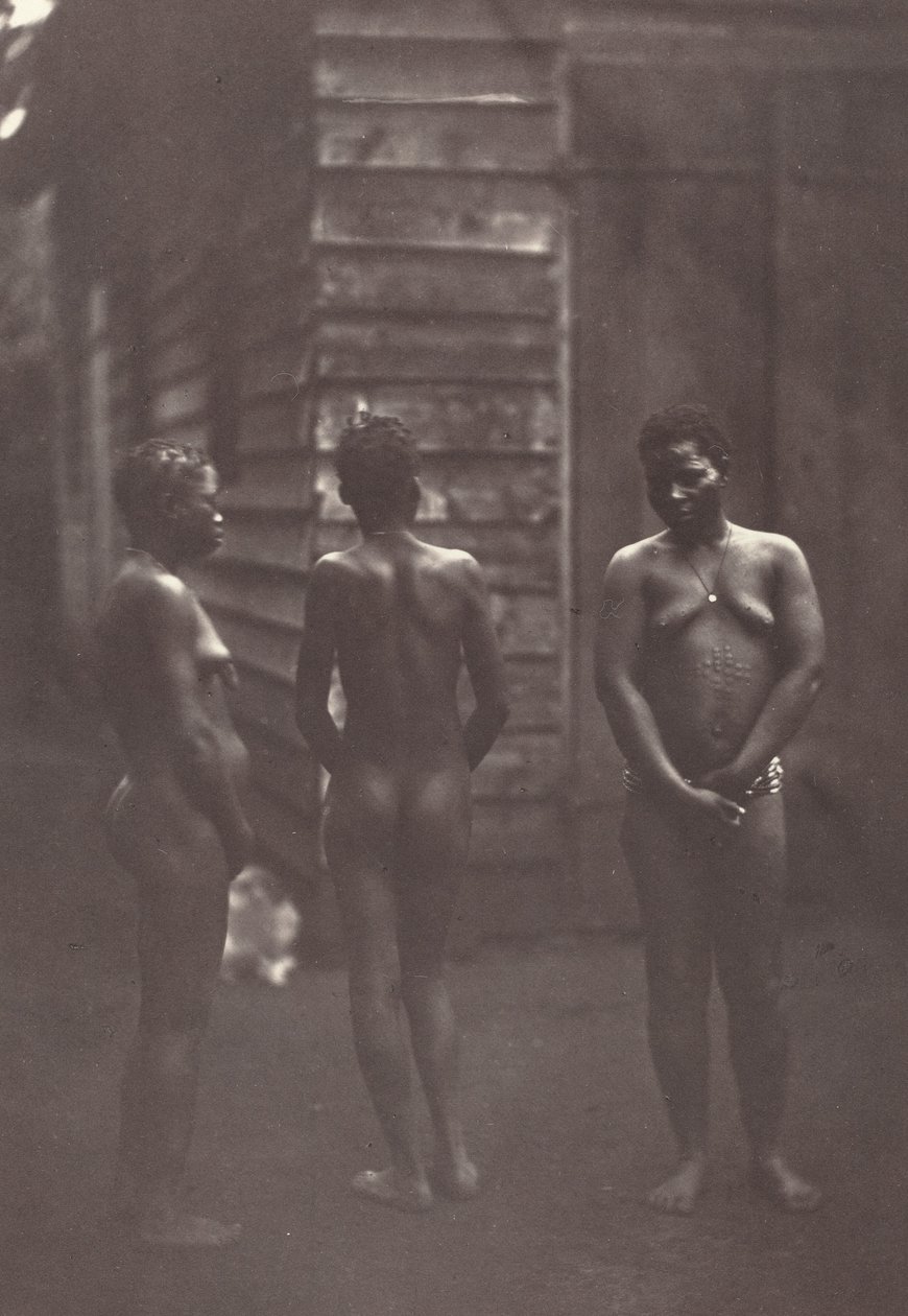 Üç Madagaskarlı Kadın Plakası 30, 1863. by Désiré Charnay