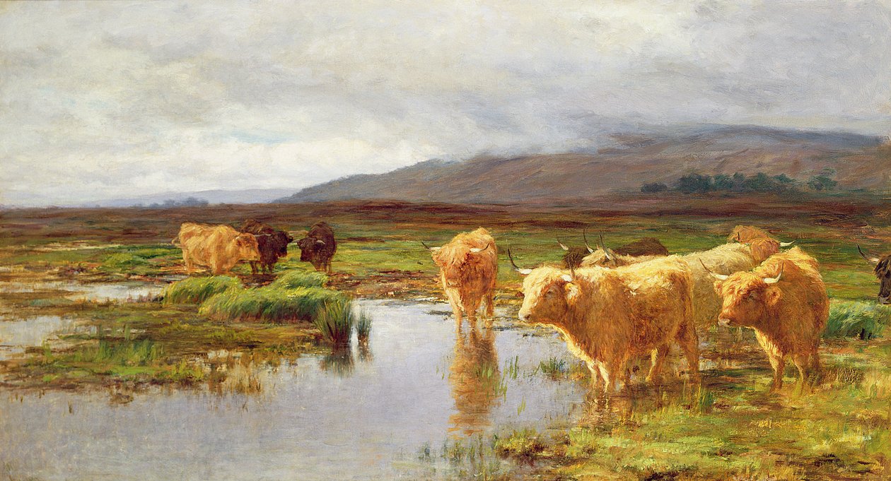 Moorlands ve Sis by Duncan McLaurin
