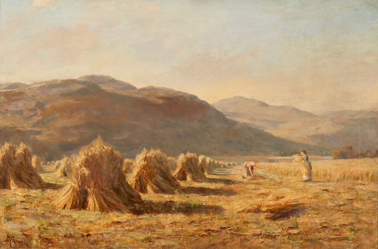 Dumyat Yakınında Hasat, Ochil Tepeleri (tuval üzerine yağlı boya) by Duncan Cameron