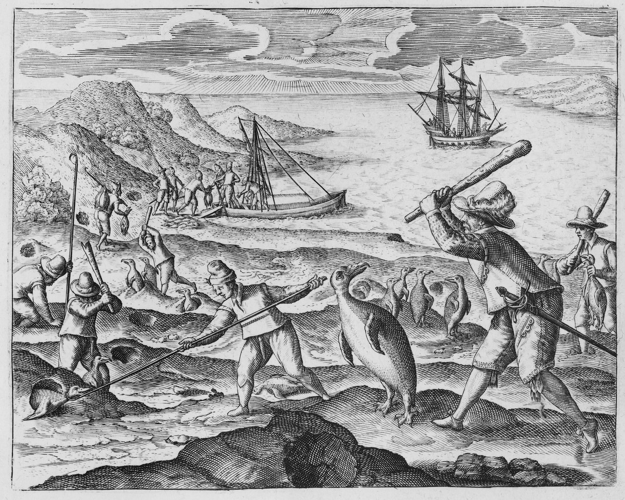 Penguen avı, 1598 by Dutch School